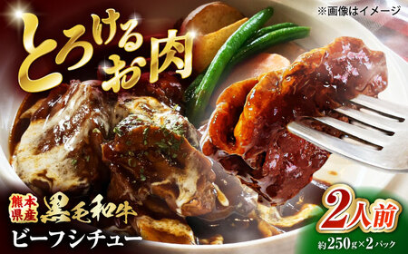 熊本県産 黒毛和牛 こだわりのビーフシチュー 計2パック （約250g×2パック） ビーフシチュー ビーフ シチュー 牛肉 肉 　【有限会社スイートサプライなかぞの】[ZBV107]