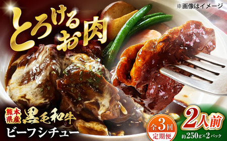 【全3回定期便】 熊本県産 黒毛和牛 こだわりのビーフシチュー 計2パック （約250g×2パック） ビーフシチュー ビーフ シチュー 牛肉 肉 　【有限会社スイートサプライなかぞの】[ZBV108]