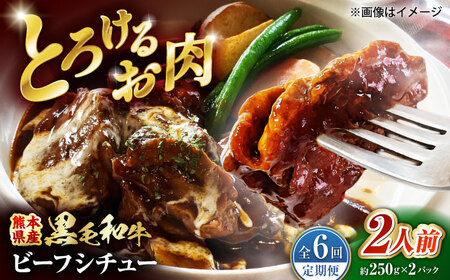 【全6回定期便】 熊本県産 黒毛和牛 こだわりのビーフシチュー 計2パック （約250g×2パック） ビーフシチュー ビーフ シチュー 牛肉 肉 　【有限会社スイートサプライなかぞの】[ZBV109]