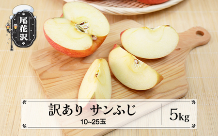 先行予約 訳あり りんご サンふじ 約5kg 令和8年産 12月上旬~1月中旬頃発送 ns-risfw5-b