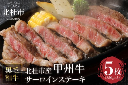 山梨県北杜市産　甲州牛　黒毛和牛　サーロインステーキ5枚（1枚250g×5枚） [h021]