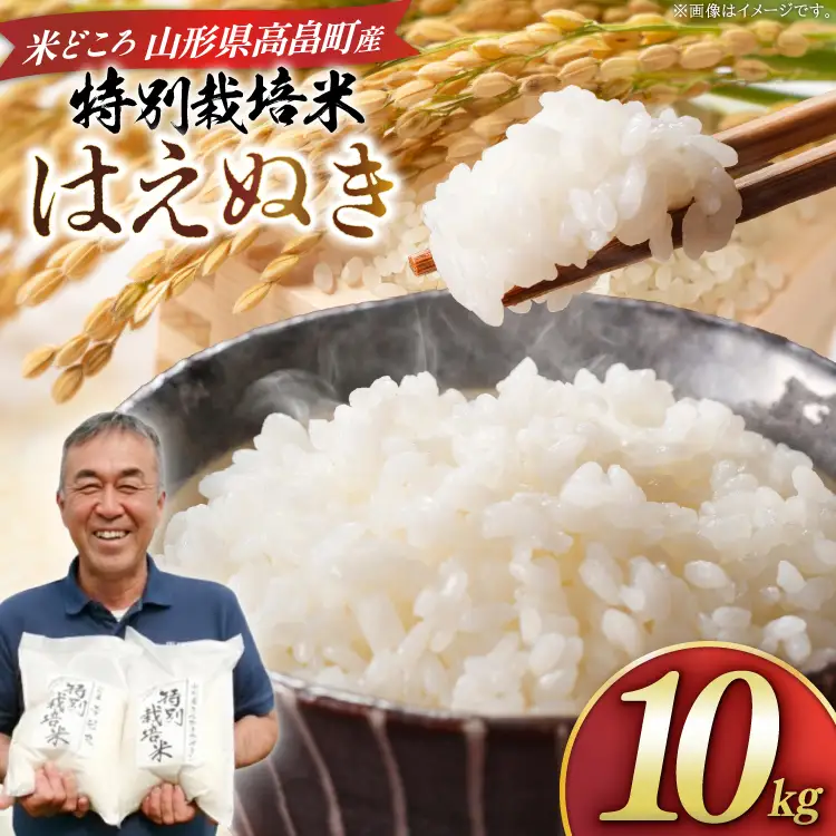 米 令和8年 はえぬき 10kg [渡部ファーム 山形県 高畠町 tk06ays810034] お米 白米 精米 ごはん ご飯 ブランド米