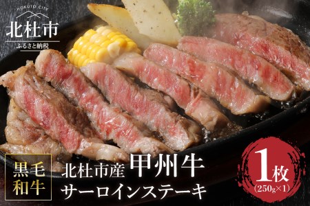 山梨県北杜市産　甲州牛　黒毛和牛　サーロインステーキ1枚（1枚250g） [h021]