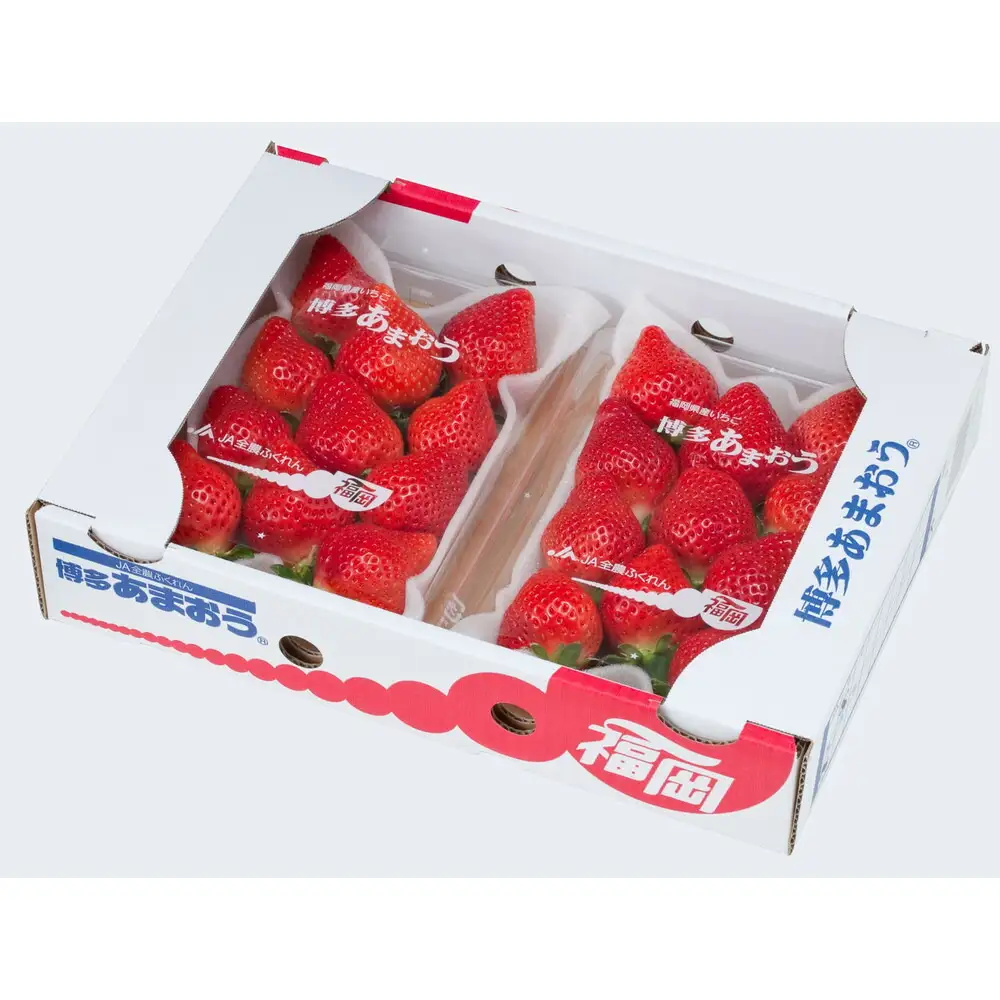＜2026年3月～4月発送＞博多あまおう約250ｇ×４