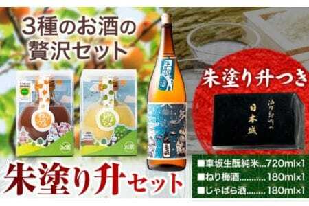 日本酒 朱塗り升セット 車坂酛生 純米 ねり梅酒 じゃばら酒