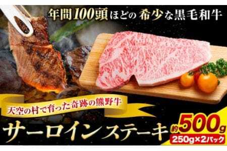 サーロインステーキ 黒毛和牛 牛 牛肉 ステーキ 約500g 約250g×2パック