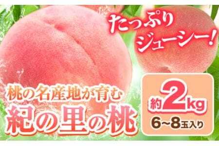 桃 紀の里の桃 約2kg