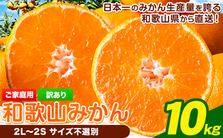 みかん 和歌山みかん 約10kg