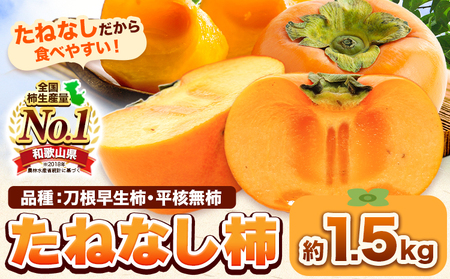 柿 たねなし柿 約1.5kg