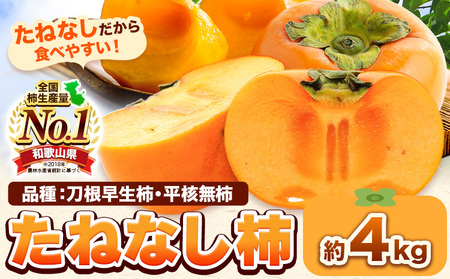 柿 たねなし柿 約4kg