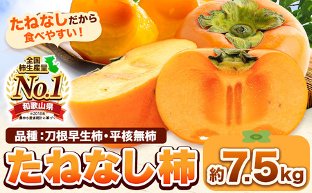 柿 たねなし柿 約7.5kg