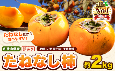 柿 訳あり たねなし柿約2kg 