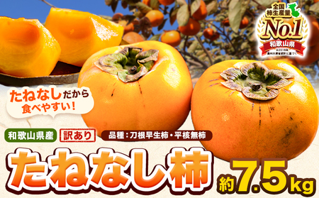 柿 訳あり たねなし柿 約7.5kg 