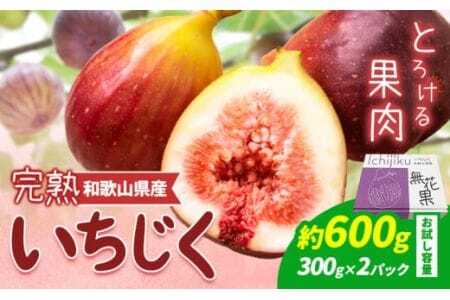完熟いちじく 約600g (300g×2パック)