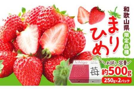 【先行予約】いちご まりひめ 約500g (250g×2パック) 