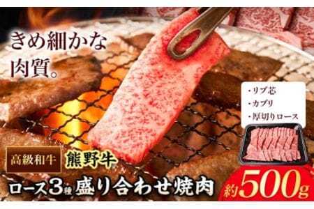 和歌山産 高級和牛 熊野牛 ロース盛合せ焼肉 約500g 
