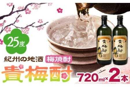 紀州の地酒 貴梅酎 きばいちゅう 25度 720ml×2本 