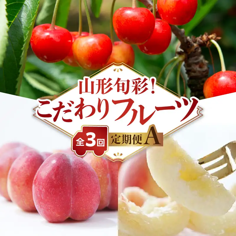 《先行受付》【発送月固定】山形旬彩！こだわりフルーツ定期便全３回Ａ 063-T01