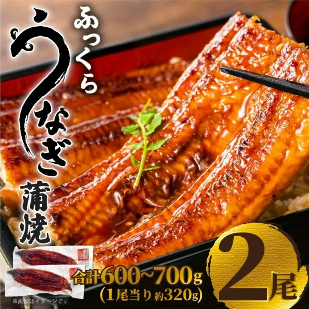 ふっくら大判うなぎ蒲焼 計約640ｇ（約320g×2尾）