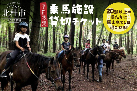 【平日限定】乗馬施設 貸切チケット 乗馬 貸切 チケット 貸切チケット 乗馬体験 平日限定 最大25名様 グループ ファミリー 家族 馬20頭以上 体験 [h034]