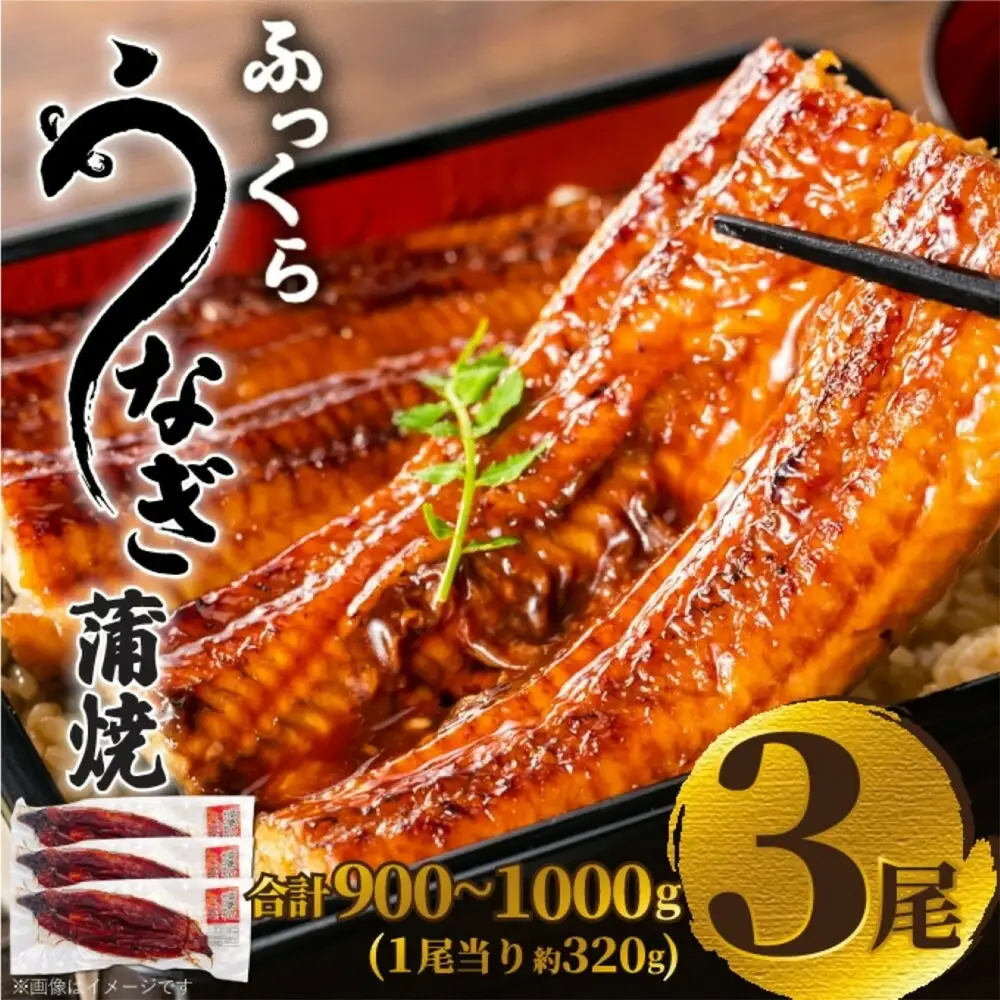 ふっくら大判うなぎ蒲焼 計約960ｇ（約320g×3尾）
