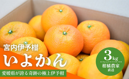 【2027年1月中旬から発送予定】  いよかん 宮内伊予柑 3kg みかん 3kg みかん 愛媛 みかん 松山 みかん 農家直送 みかん 不揃い いよかん 家庭用 柑橘 愛媛 松山 北条 果物 フルーツ 産地直送 みかん 農園直送 【HMN014】