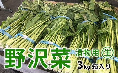 【先行受付】信州松本市産 漬物用「生の野沢菜」3kg