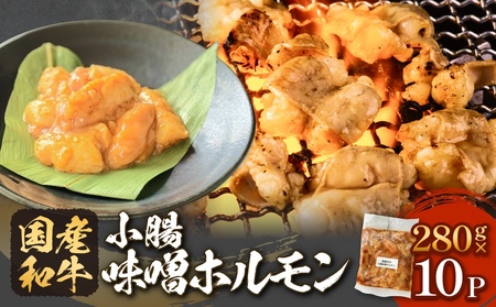 国産和牛 味噌 ホルモン 10P 味噌ホルモン 牛ホルモン 小腸 国産 宮城県産 味付 モツ 和牛 肉 お肉 牛肉 牛 内臓 宮城県 石巻市 