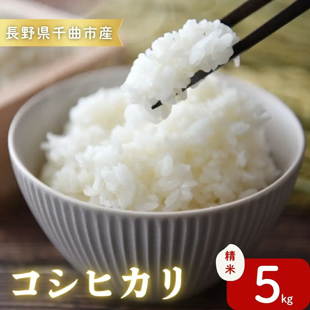 令和7年産コシヒカリ精米5kg｜ コシヒカリ ご飯 白米 千曲市 長野県 信州