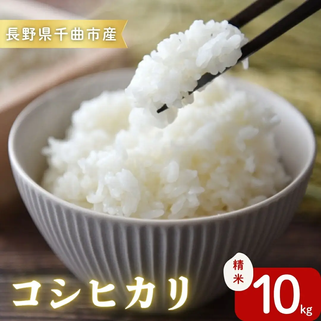 令和7年産コシヒカリ精米10kg｜ コシヒカリ ご飯 白米 千曲市 長野県 信州