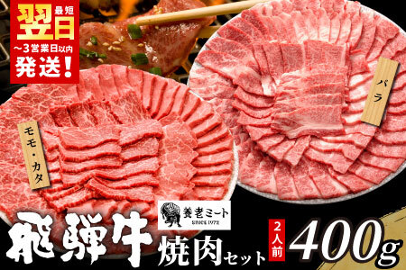 【最短発送】 贅沢！ 飛騨牛 焼肉セット 400g 2人前 牛肉 和牛 肉 焼肉 BBQ 霜降り カルビ 赤身 モモ カタ 東白川村 岐阜 養老ミート