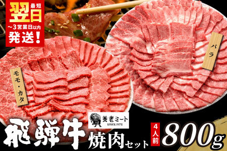 【最短発送】 贅沢！ 飛騨牛 焼肉セット 800g 4人前 牛肉 和牛 肉 焼肉 BBQ 霜降り カルビ 赤身 モモ カタ 東白川村 岐阜 養老ミート