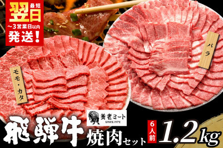 【最短発送】 贅沢！ 飛騨牛 焼肉セット 1.2kg 6人前 牛肉 和牛 肉 焼肉 BBQ 霜降り カルビ 赤身 モモ カタ 東白川村 岐阜 養老ミート