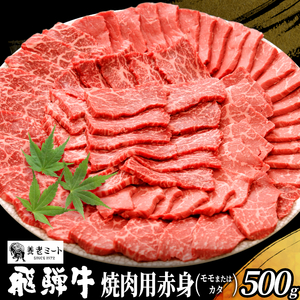 贅沢！ 飛騨牛 モモまたはカタ 焼肉用 500g 2～3人前 牛肉 和牛 肉 焼肉 BBQ 霜降り カルビ 赤身 モモ カタ 東白川村 岐阜 養老ミート