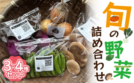 旬の野菜詰め合わせ→旬の野菜（農薬・化学肥料・除草剤不使用）詰め合わせ 3〜4種セット Ｍ818 もりたけのはたけ 季節 野菜 果物 詰め合わせ 九州 福岡 宮若市 ふるさと納税 おすすめ