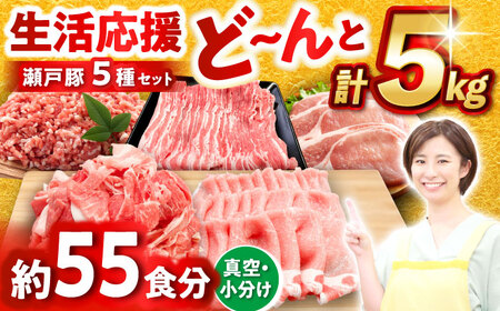 豚肉 生活応援セット 計5kg 豚肉 [BBBQ160] 豚肉しゃぶしゃぶ