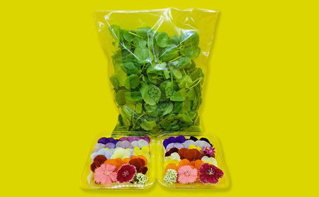 【Aセット】エディブルフラワー(生花20輪)2パック サラダクレソン(80g) 食用花 食べられる花 生け花 誕生日 プレゼント 飾り付け 食用 お菓子【配達不可：離島】