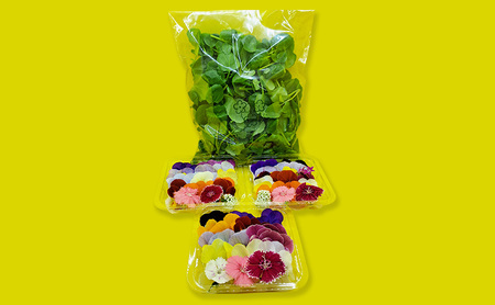 【Bセット】エディブルフラワー(生花20輪)3パック サラダクレソン(80g) 食用花 食べられる花 生け花 誕生日 プレゼント 飾り付け 食用 お菓子【配達不可：離島】