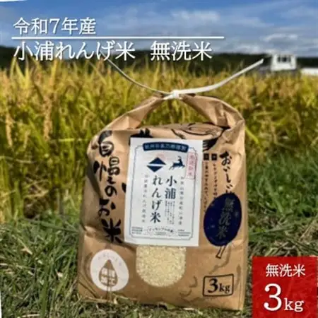 2025年産(令和7年産)!日高町小浦の無洗米「小浦れんげ米」3kg【1680199】