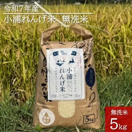 2025年産(令和7年産)!日高町小浦の無洗米「小浦れんげ米」5kg【1680206】