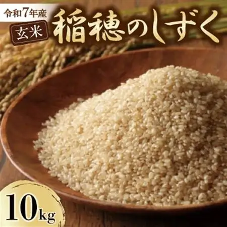 令和7年産　稲穂のしずく　玄米　10kg【1677350】