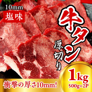 牛たん　厚切り　１０ｍｍ　塩味　500ｇ×２パック【ttru017】
