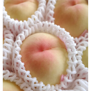 岡山市産 清水白桃 ご家庭用 大玉3玉 ＜2026年7月上旬～8月下旬頃出荷＞