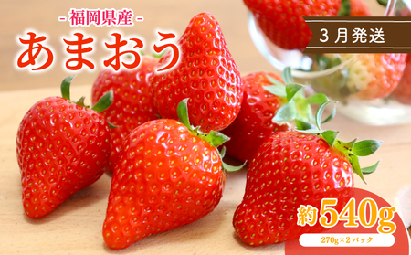 【2026年3月発送】苺 あまおう 540g (270g×2P) いちご | あまおう OKI
