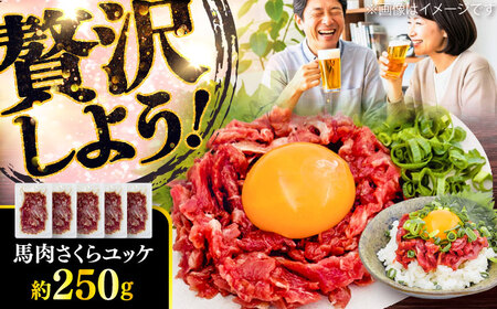 馬肉さくら ユッケ 約250g ユッケ BHCY029