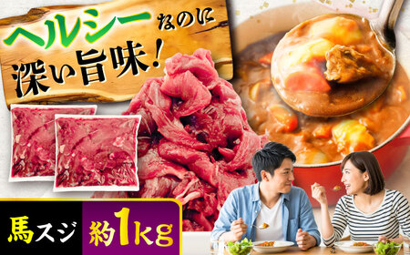 馬スジ 約1kg 馬肉 馬肉 BHCY041
