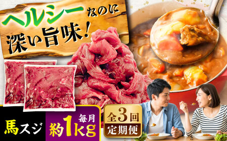 全3回定期便 馬スジ 約1kg 馬肉 馬肉 BHCY042