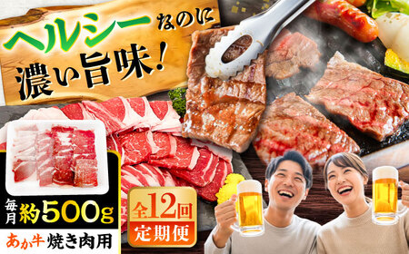 【全12回定期便】熊本あか牛 焼肉 用カット(バラ ロース) 約500g 焼肉 BHCY048