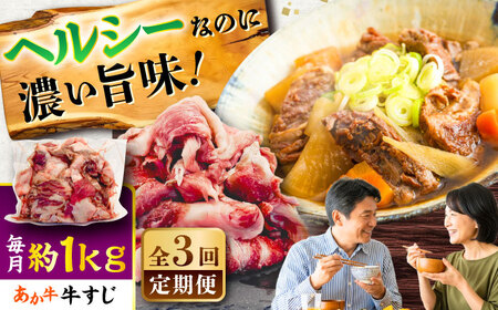 【全3回定期便】熊本あか 牛スジ 約1kg 牛スジ BHCY050