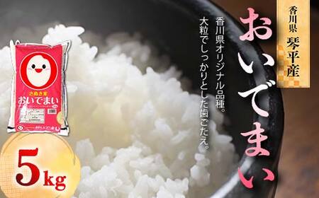 令和7年度産 新米 香川県琴平産おいでまい 5kg 米 精米 さぬき米 セット ギフト 贈り物 四国 F5J-1252